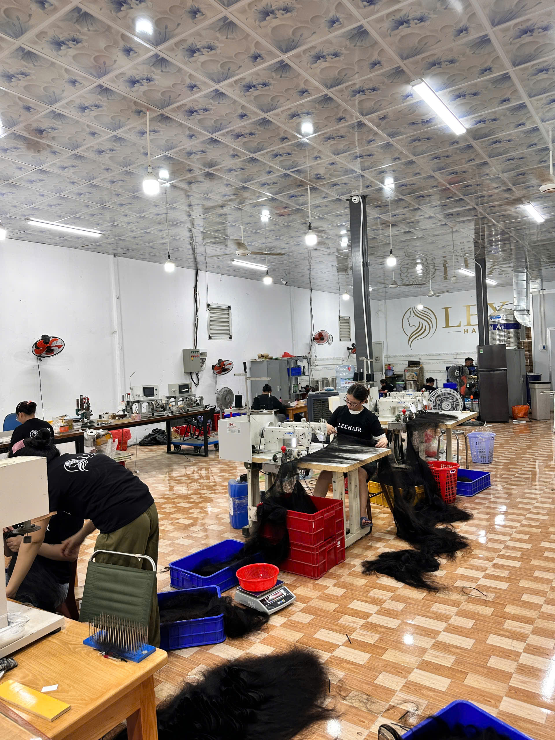 hair factory in viet nam