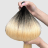 ombre-bulk-color
