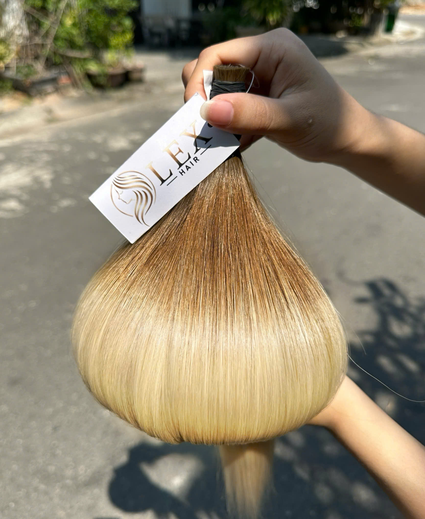 Ombre Colors Bulk