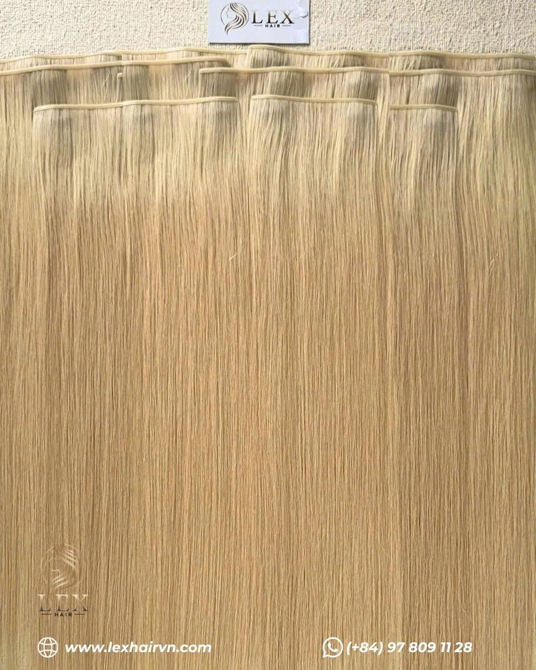 GENIUS CLIP IN (2)