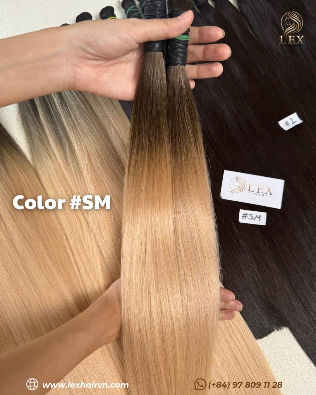 OMBRE SM (2)